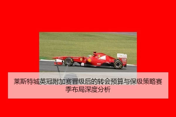 莱斯特城英冠附加赛晋级后的转会预算与保级策略赛季布局深度分析