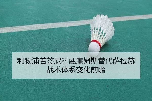 li-wu-pu-ruo-qian-ni-ke-wei-lian-mu-si-ti-dai-sa-la-he-zhan-shu-ti-xi-bian-hua-qian-zhan-2-200.jpg